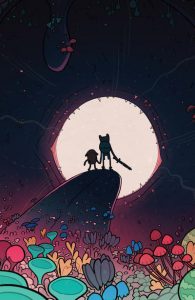 Adventure Time (2011) #17 Cover C