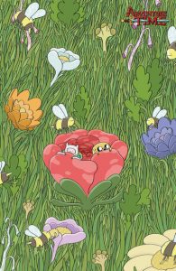 Adventure Time (2011) #27 Cover C