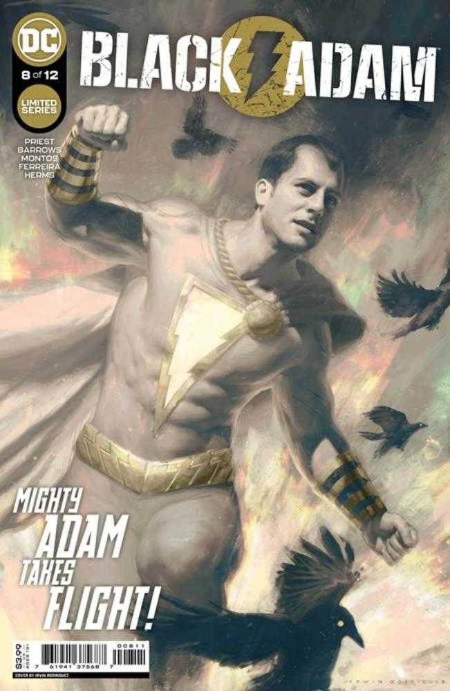 Black Adam #08 (Of 12) Cover A Irvin Rodriguez