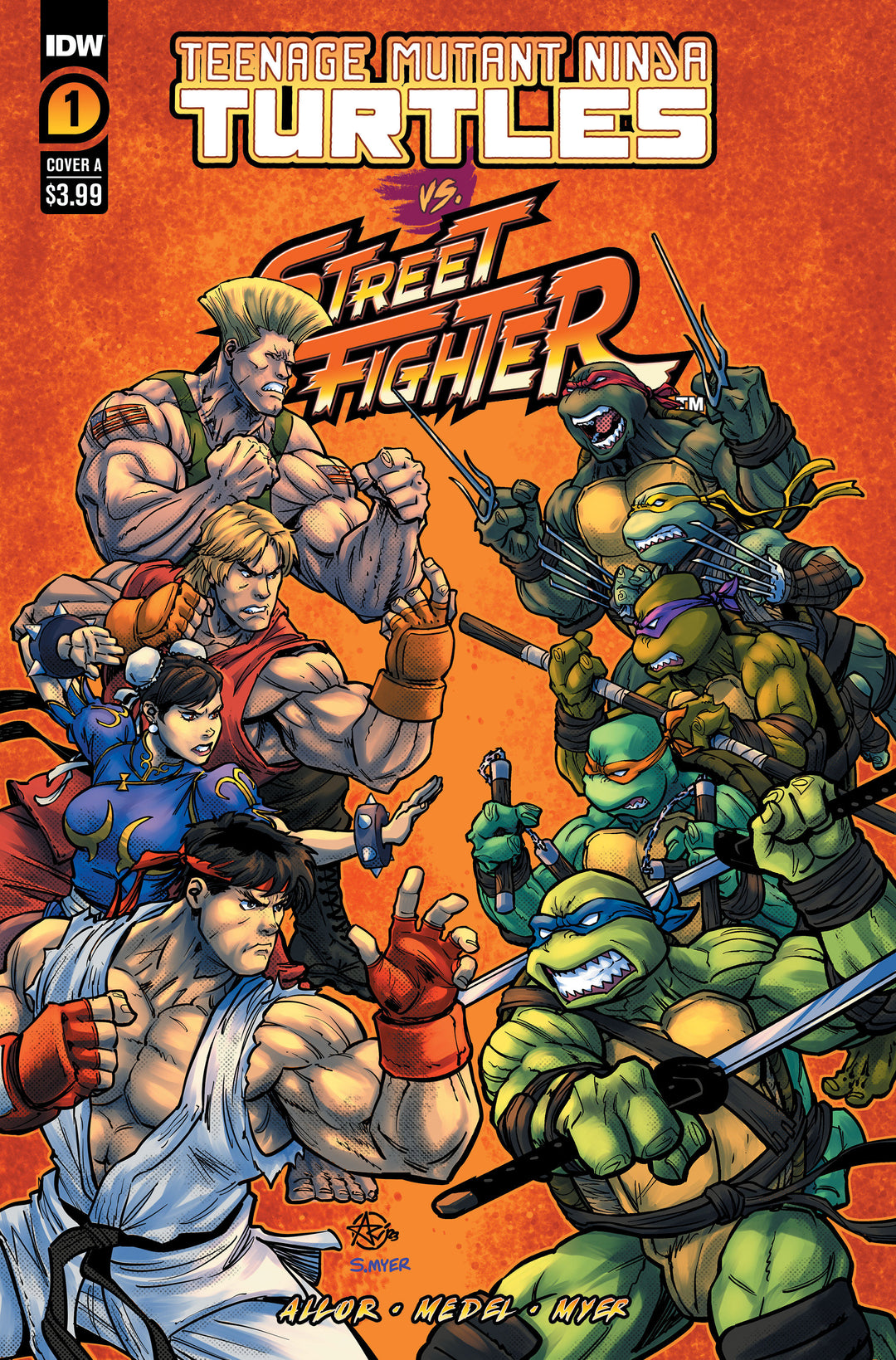 Teenage Mutant Ninja Turtles vs Street Fighter #1 Cover A (Medel)