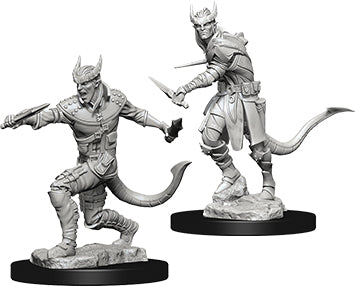 Dungeons & Dragons Nolzur`s Marvelous Unpainted Miniatures: W5 Tiefling Male Rogue
