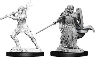 Dungeons & Dragons Nolzur`s Marvelous Unpainted Miniatures: W10 Female Human Paladin